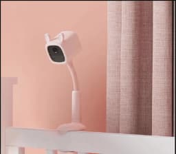 Cam-trongtre