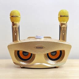 Loa Karaoke SD 306 + 2 Micro ko dây