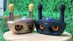 Loa Karaoke SD 306 + 2 Micro ko dây 2
